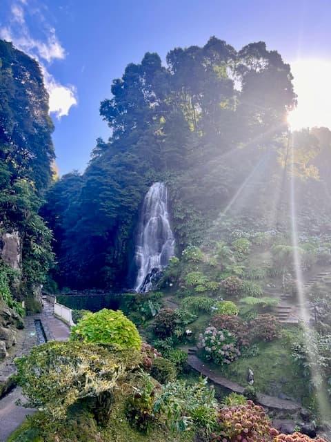 Crystal clear thermal springs surrounded by lush vegetation